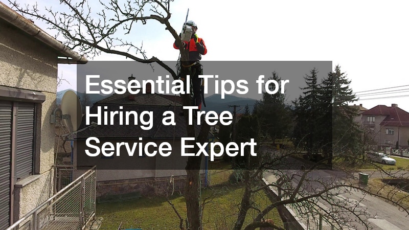 Essential Tips for Hiring a Tree Service Expert