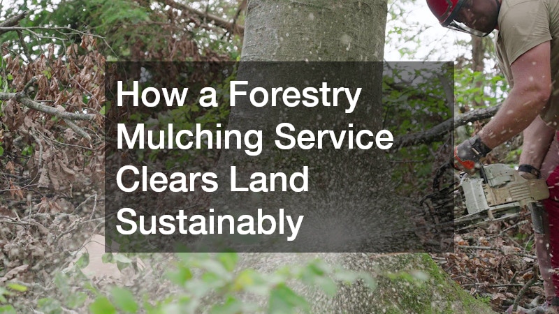 How a Forestry Mulching Service Clears Land Sustainably