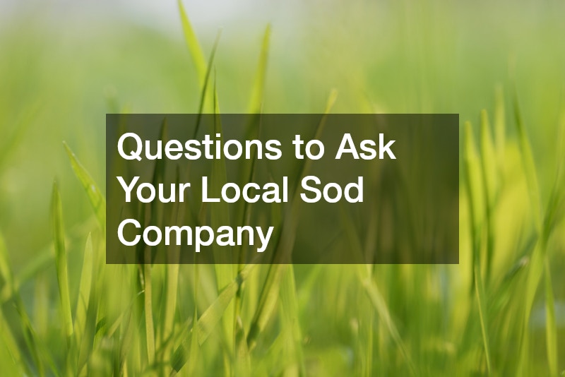 Questions to Ask Your Local Sod Company