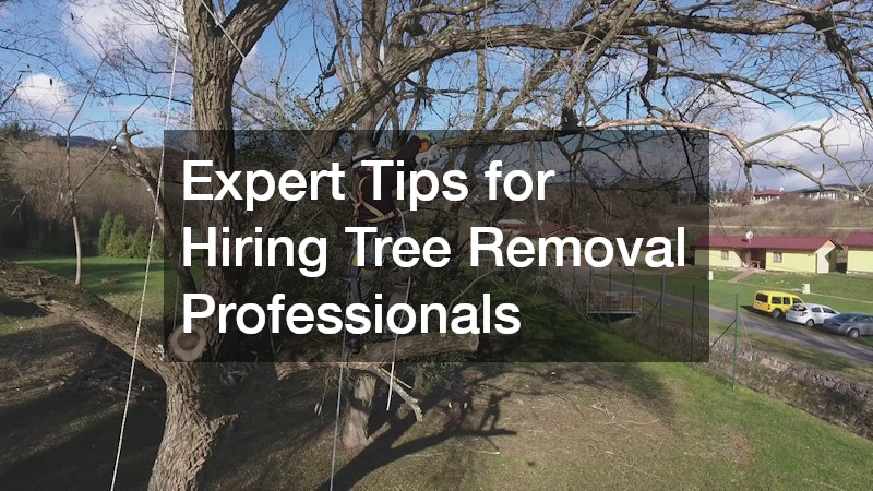 Expert Tips for Hiring Tree Removal Professionals