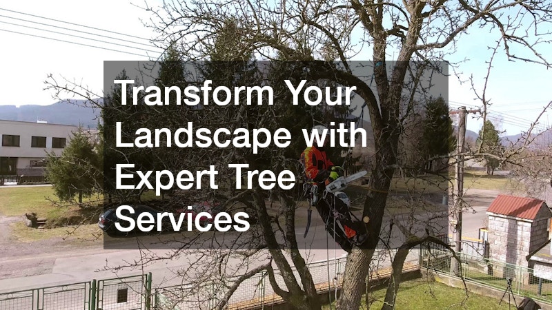 Transform Your Landscape with Expert Tree Services