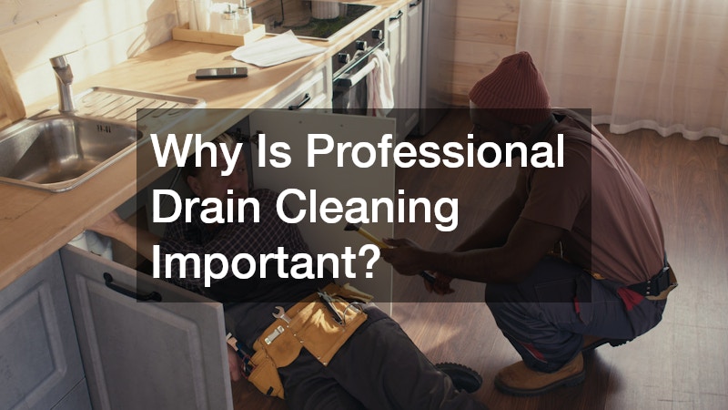 Why Is Professional Drain Cleaning Important?