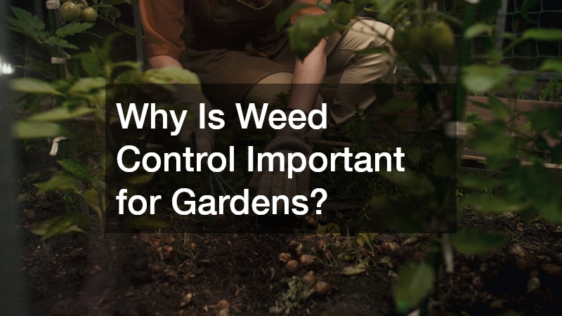 Why Is Weed Control Important for Gardens?
