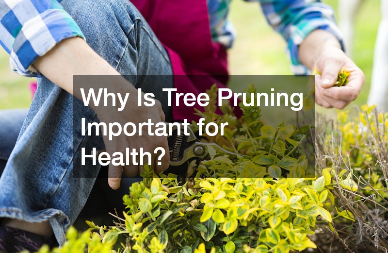 Why Is Tree Pruning Important for Health?