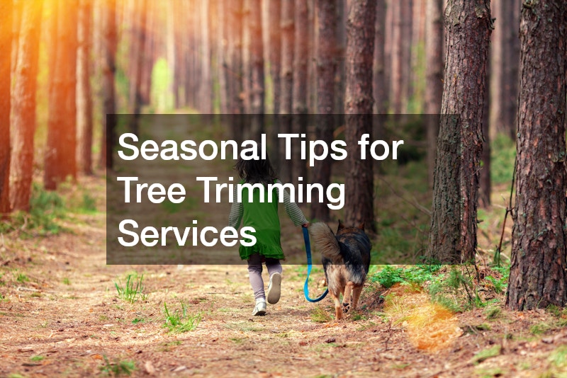 Seasonal Tips for Tree Trimming Services