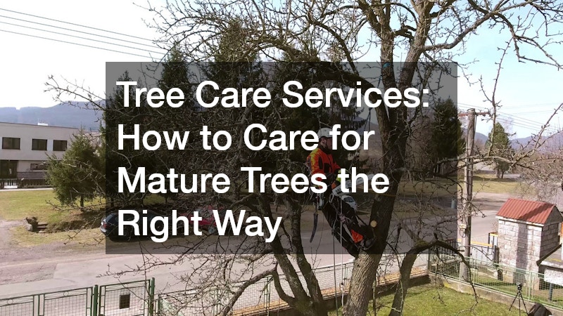 Tree Care Services: How to Care for Mature Trees the Right Way