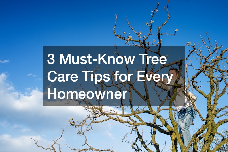 3 Must-Know Tree Care Tips for Every Homeowner