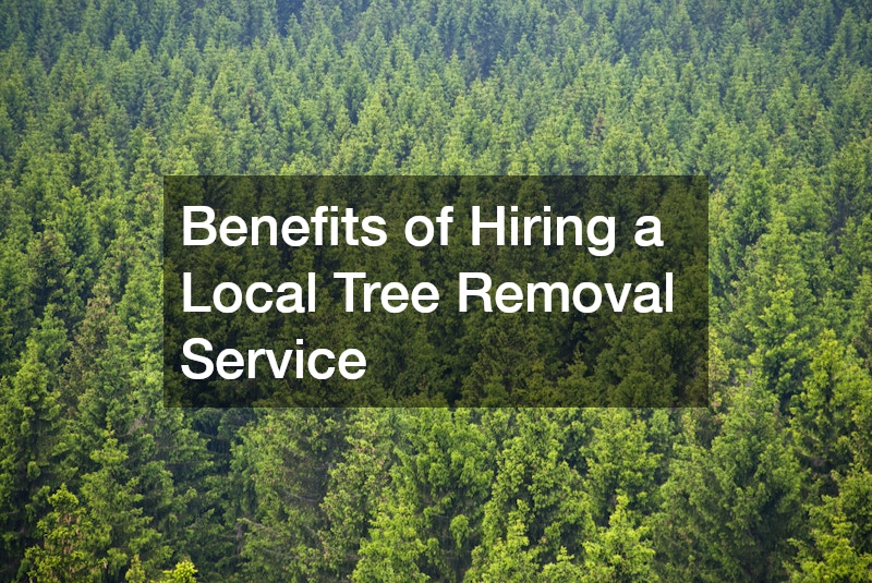 Benefits of Hiring a Local Tree Removal Service