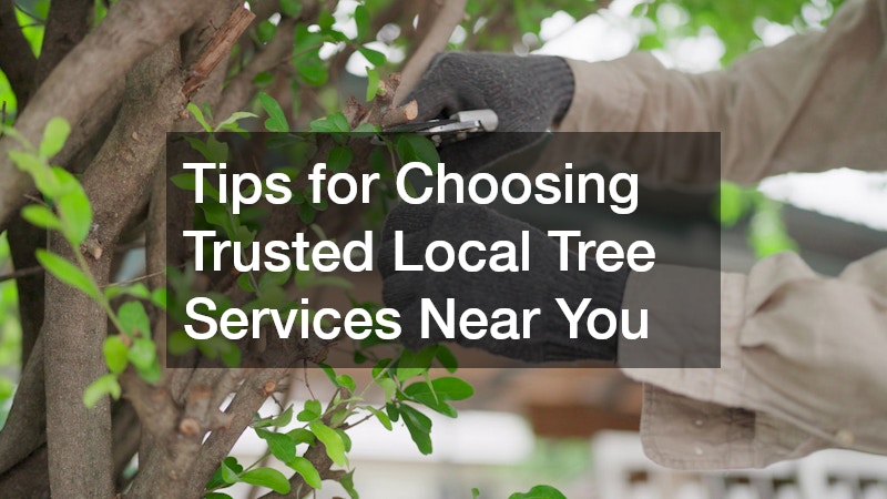Tips for Choosing Trusted Local Tree Services Near You