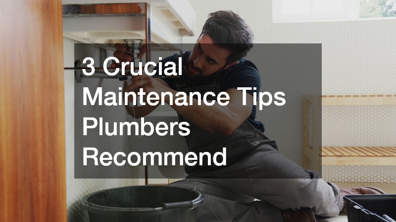 3 Crucial Maintenance Tips Plumbers Recommend