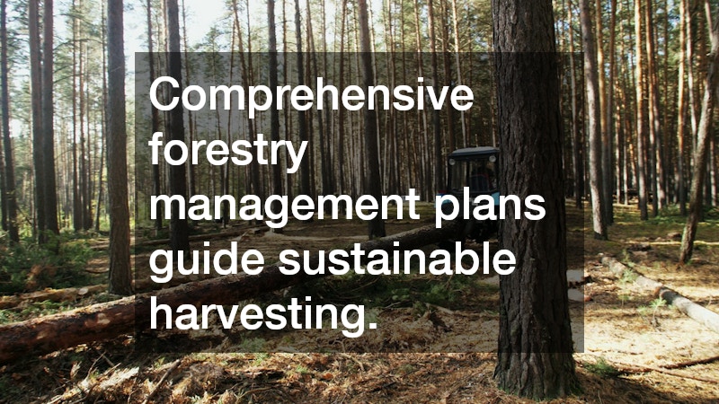 Comprehensive forestry management plans guide sustainable harvesting.
