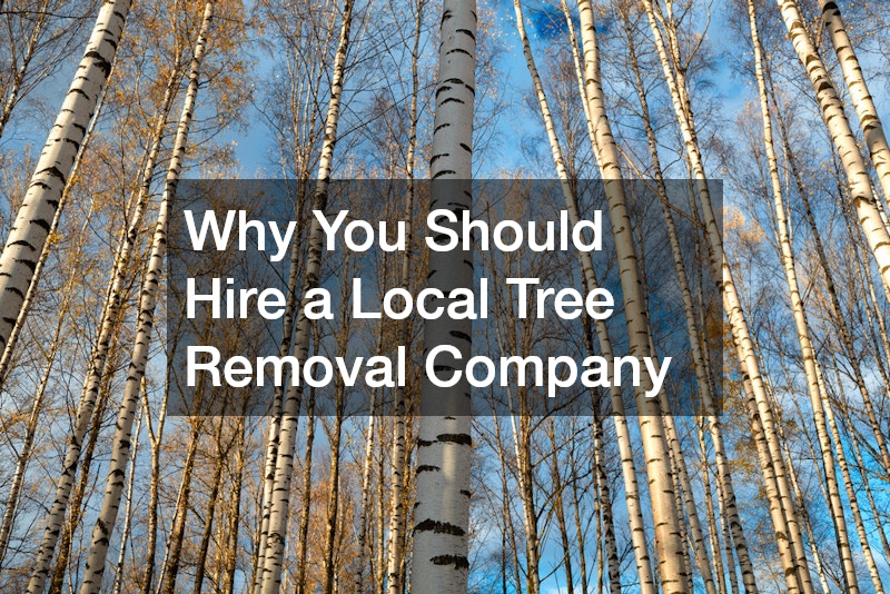 Why You Should Hire a Local Tree Removal Company