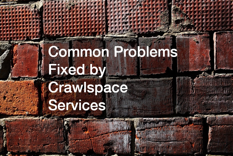 Common Problems Fixed by Crawlspace Services