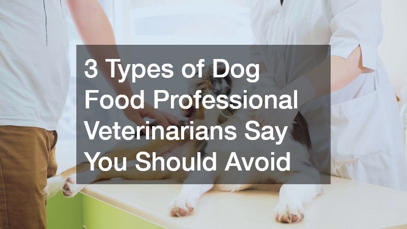 3 Types of Dog Food Professional Veterinarians Say You Should Avoid