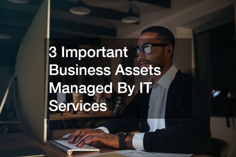 3 Important Business Assets Managed By IT Services