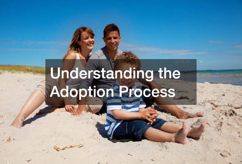 Understanding the Adoption Process