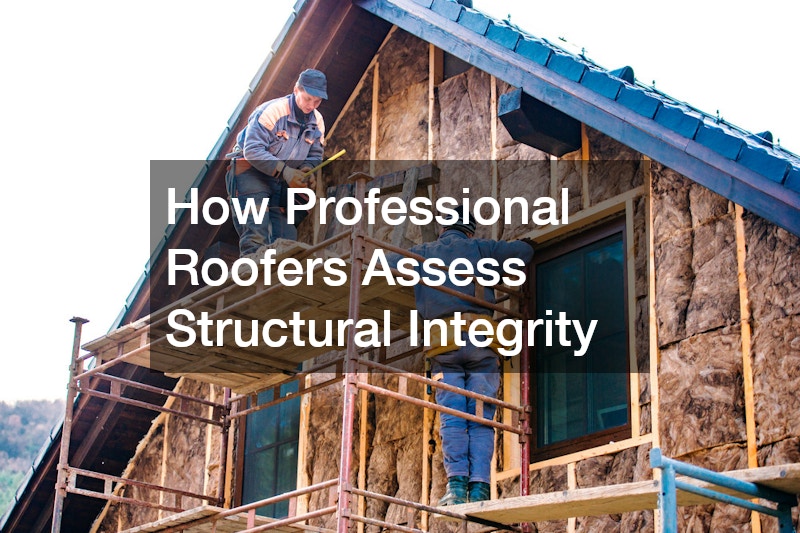 How Professional Roofers Assess Structural Integrity
