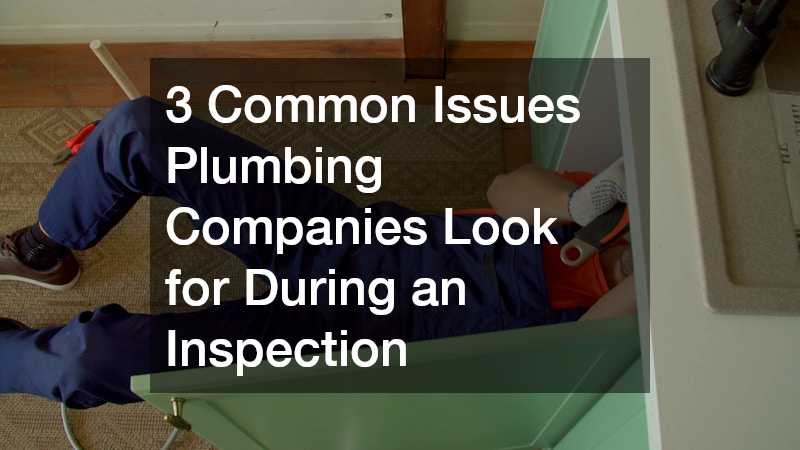 3 Common Issues Plumbing Companies Look for During an Inspection