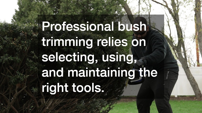 Professional bush trimming relies on selecting, using, and maintaining the right tools.