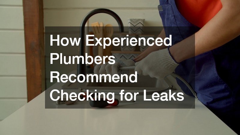 How Experienced Plumbers Recommend Checking for Leaks