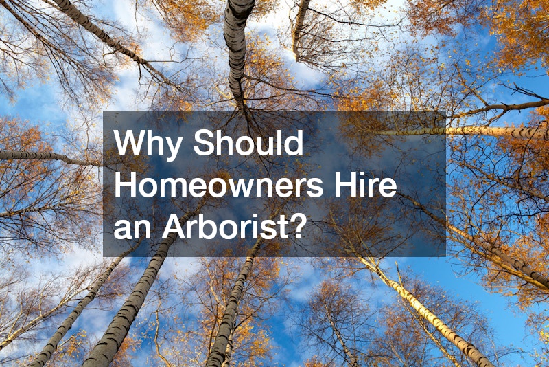 Why Should Homeowners Hire an Arborist?