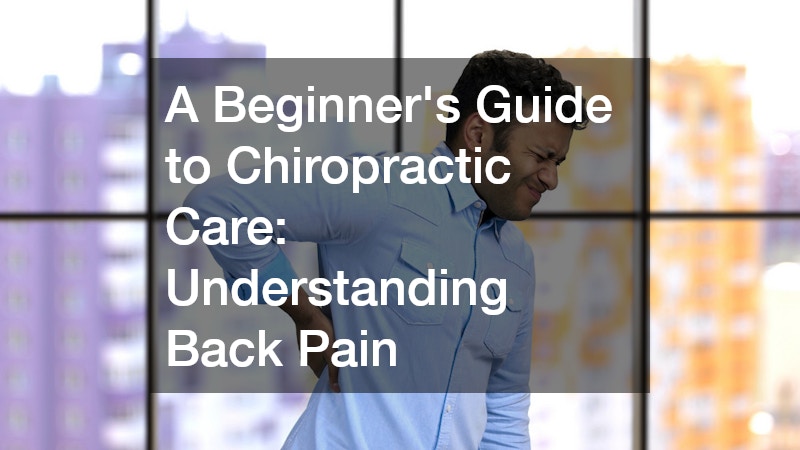 A Beginner