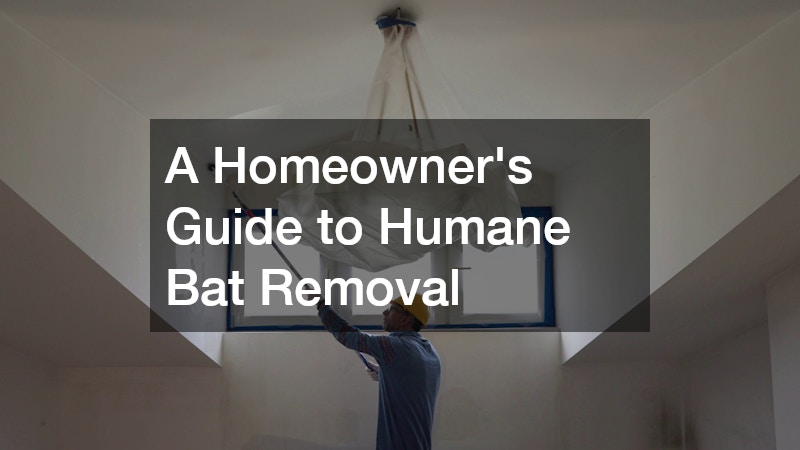 A Homeowner