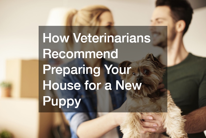 How Veterinarians Recommend Preparing Your House for a New Puppy