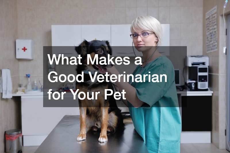 What Makes a Good Veterinarian for Your Pet