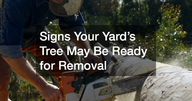 Signs Your Yard’s Tree May Be Ready for Removal