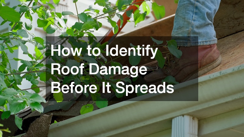 How to Identify Roof Damage Before It Spreads