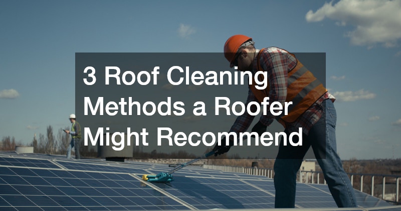 3 Roof Cleaning Methods a Roofer Might Recommend