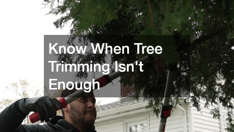 Know When Tree Trimming Isn