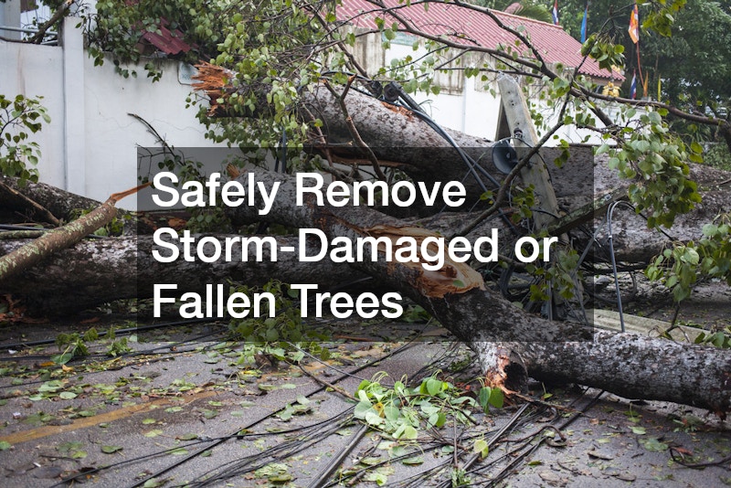 Safely Remove Storm-Damaged or Fallen Trees