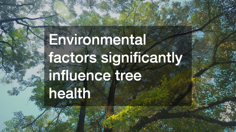 Environmental factors significantly influence tree health