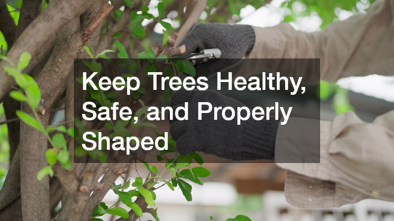 Keep Trees Healthy, Safe, and Properly Shaped