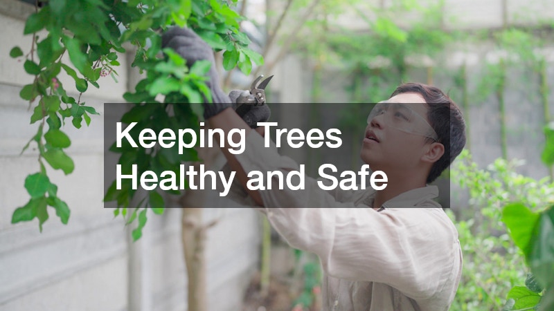 Keeping Trees Healthy and Safe
