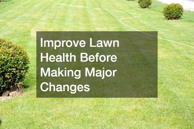 Improve Lawn Health Before Making Major Changes