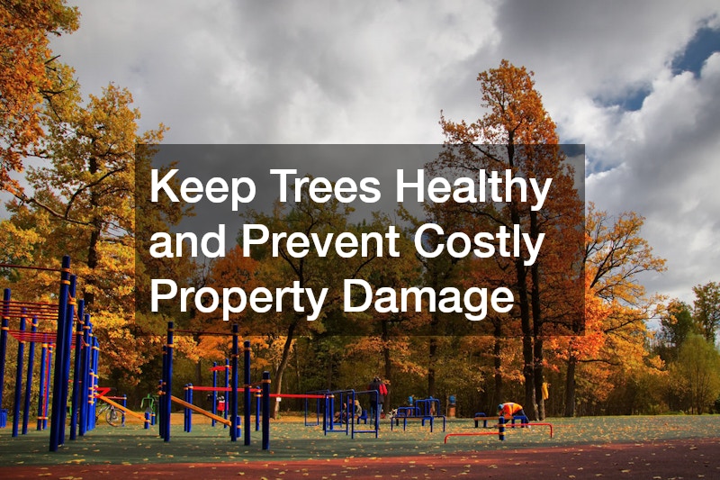 Keep Trees Healthy and Prevent Costly Property Damage