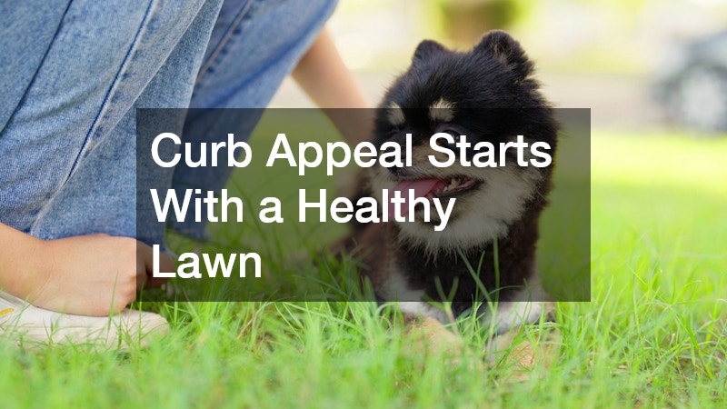 Curb Appeal Starts With a Healthy Lawn