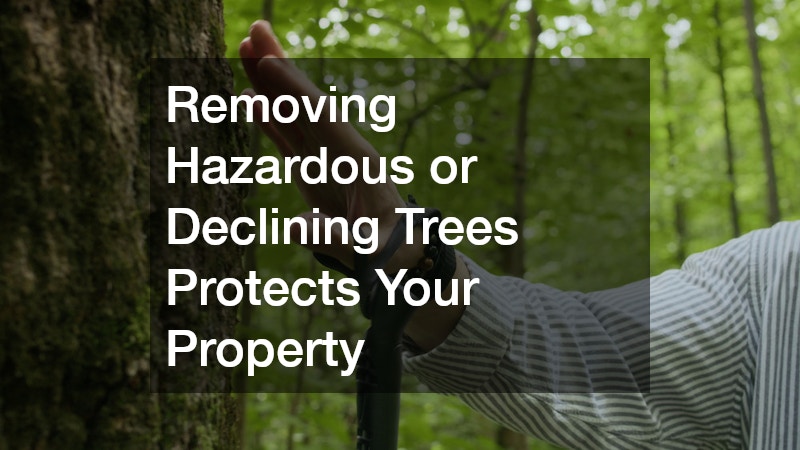 Removing Hazardous or Declining Trees Protects Your Property
