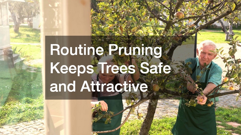 Routine Pruning Keeps Trees Safe and Attractive