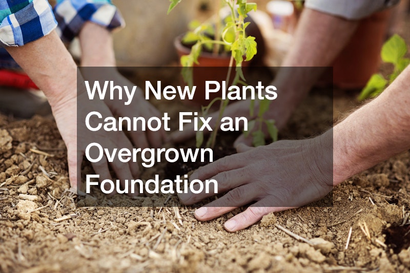 Why New Plants Cannot Fix an Overgrown Foundation