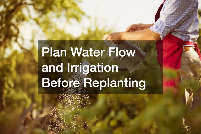 Plan Water Flow and Irrigation Before Replanting