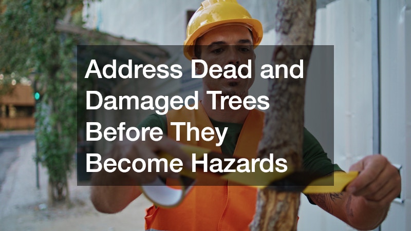 Address Dead and Damaged Trees Before They Become Hazards