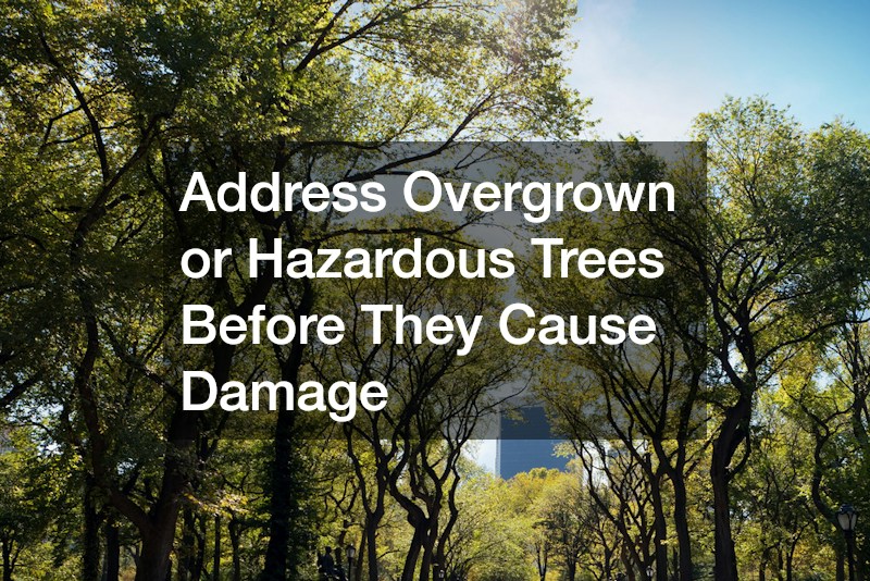 Address Overgrown or Hazardous Trees Before They Cause Damage