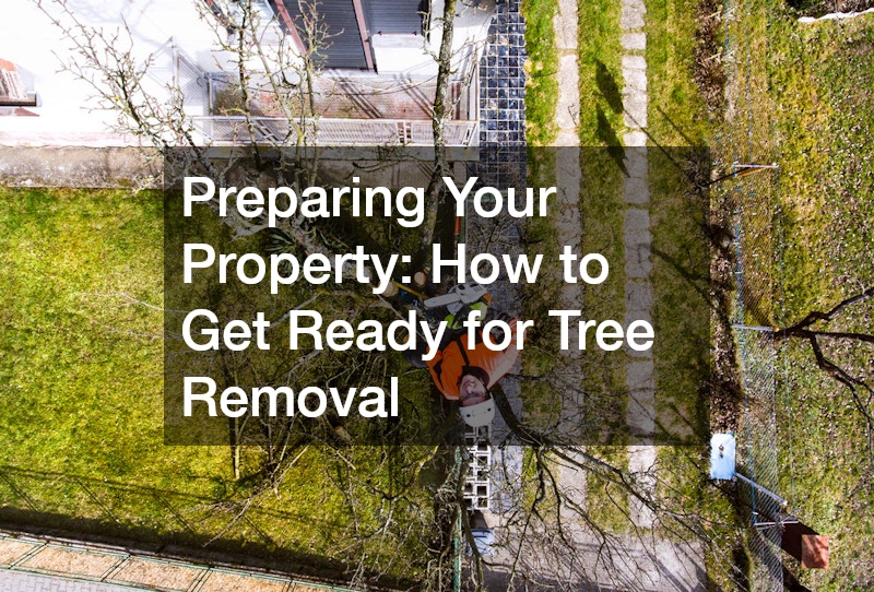 Preparing Your Property: How to Get Ready for Tree Removal