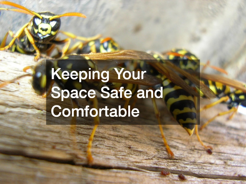 Keeping Your Space Safe and Comfortable