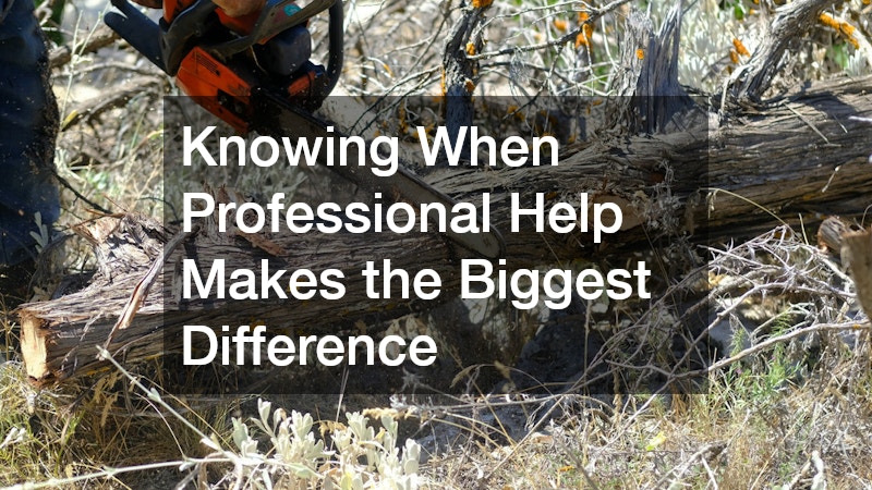 Knowing When Professional Help Makes the Biggest Difference
