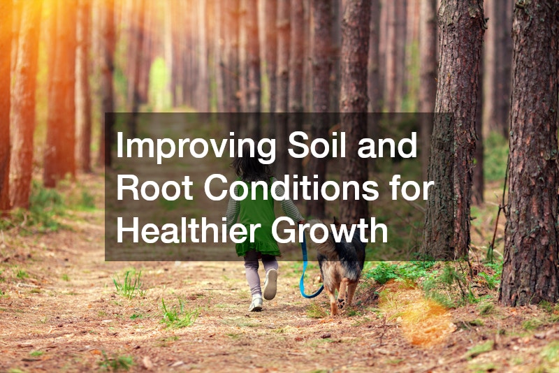 Improving Soil and Root Conditions for Healthier Growth